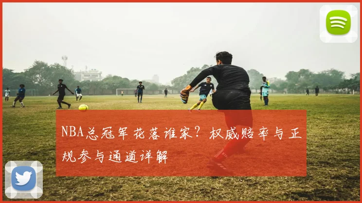 NBA总冠军花落谁家？权威赔率与正规参与通道详解